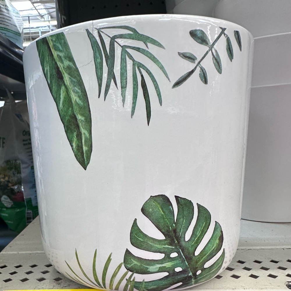 Monstera planter *chipped**